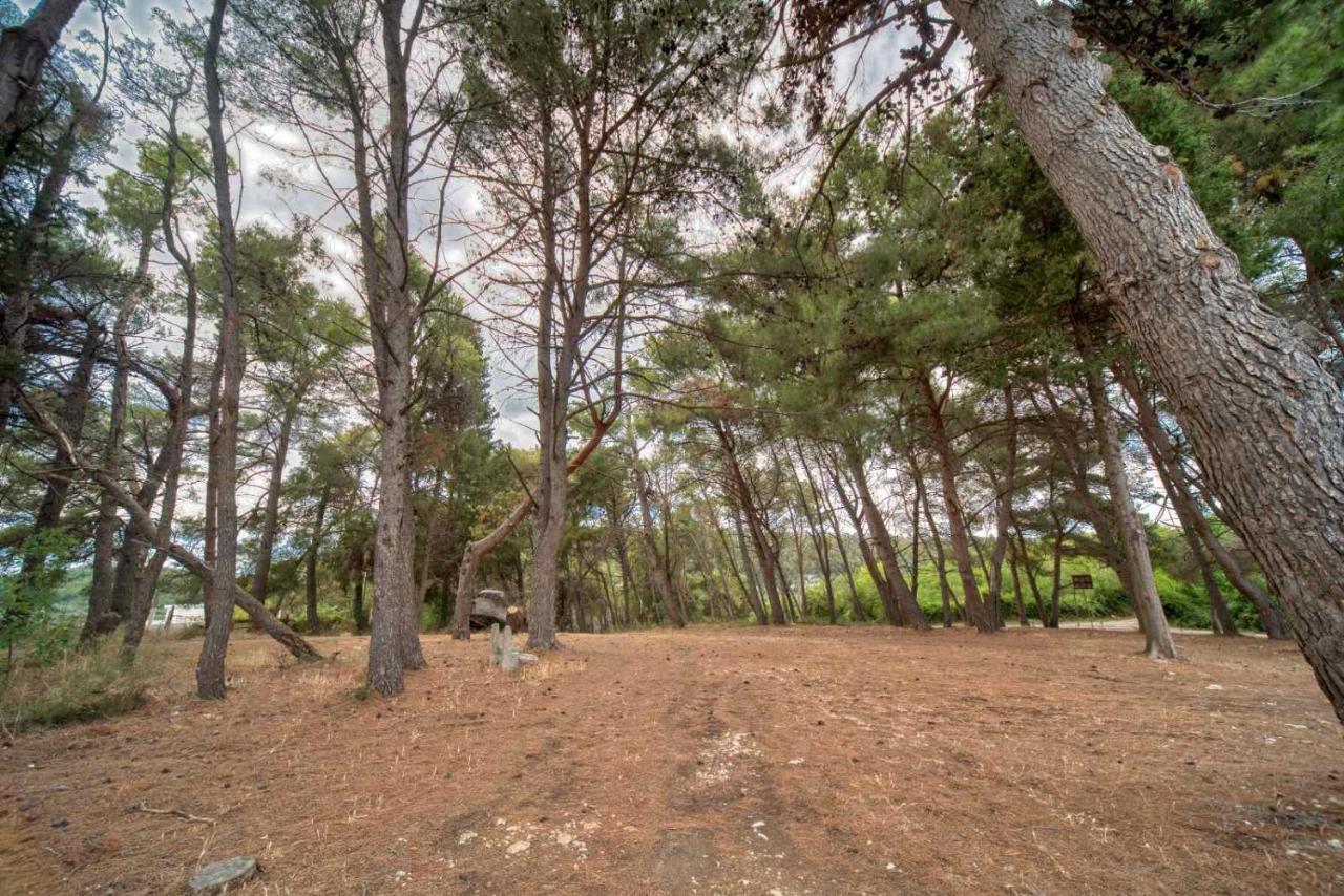 Bor - The Entire Home With Sea View Ulcinj Ngoại thất bức ảnh